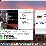 Screen Shot 2018-07-25 at 11.46.23  Test karty graficznej NVidia GT 1030 2 GB i procesora Intel Core i5-8400 2.8 GHz programem LuxMark v 2.1.